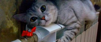 Отопления - важнейший фактор, влияющий на комфорт и уют в доме