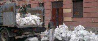 Остатки от шпаклевочного слоя, обойные полотна, кафельная плитка или ламинат.